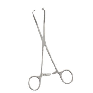 Bone Holding Forcep, Orthopedic Instrument