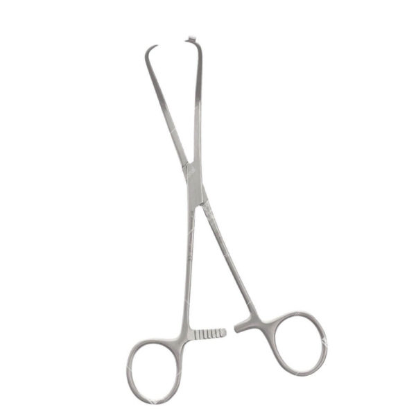 Bone Holding Forcep, Orthopedic Instrument Picture